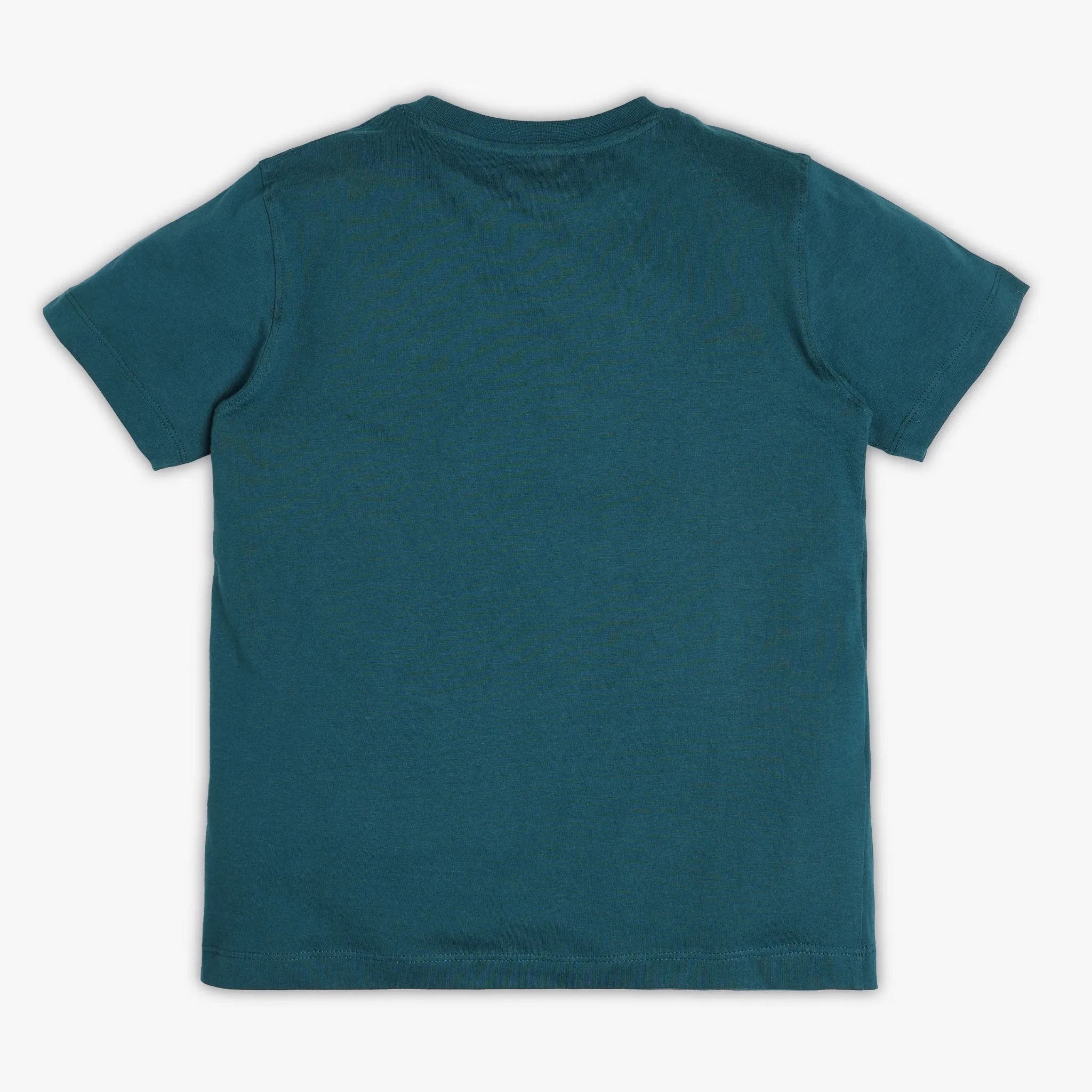 Boys Regular Fit Graphic T-Shirt