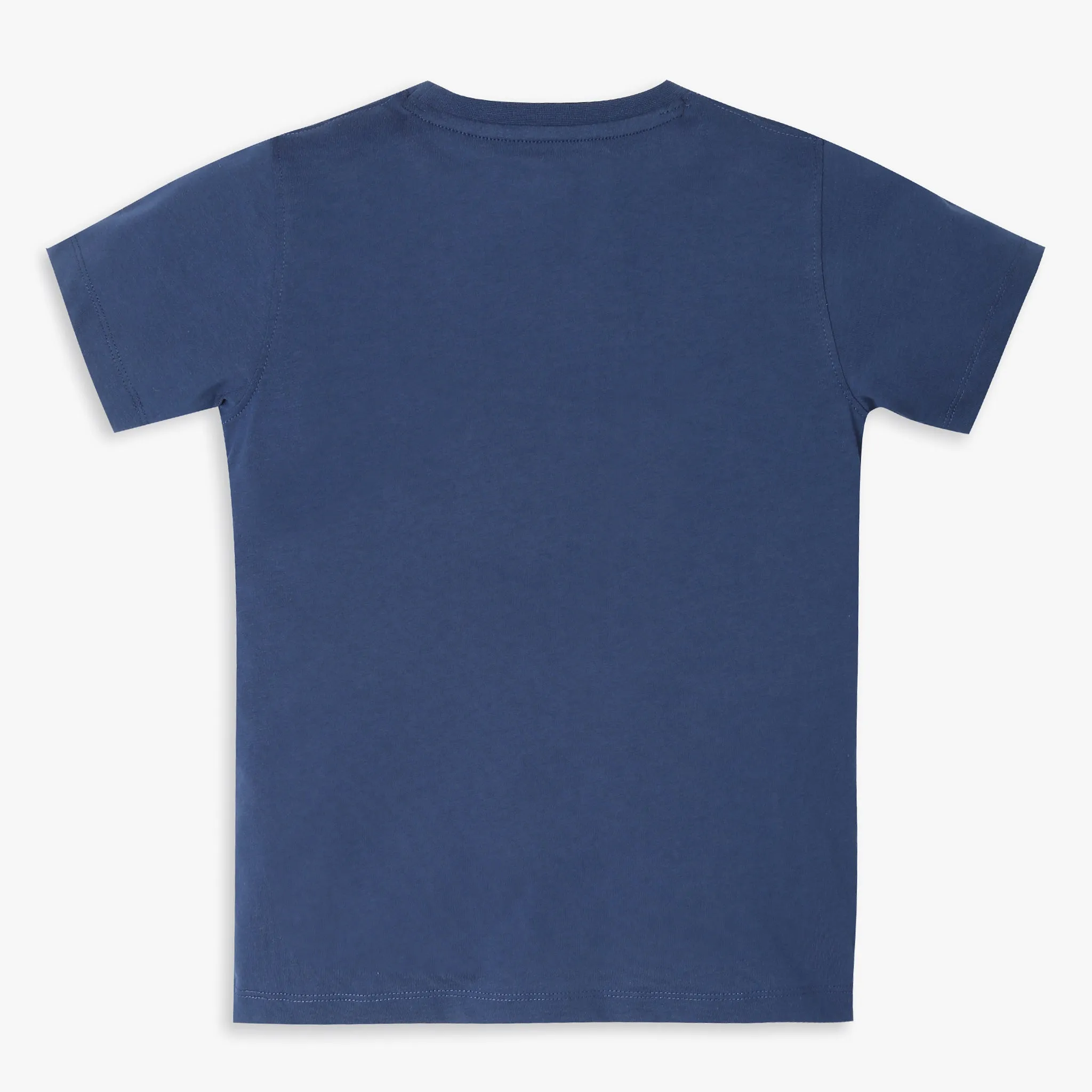 Boys Regular Fit Graphic T-Shirt