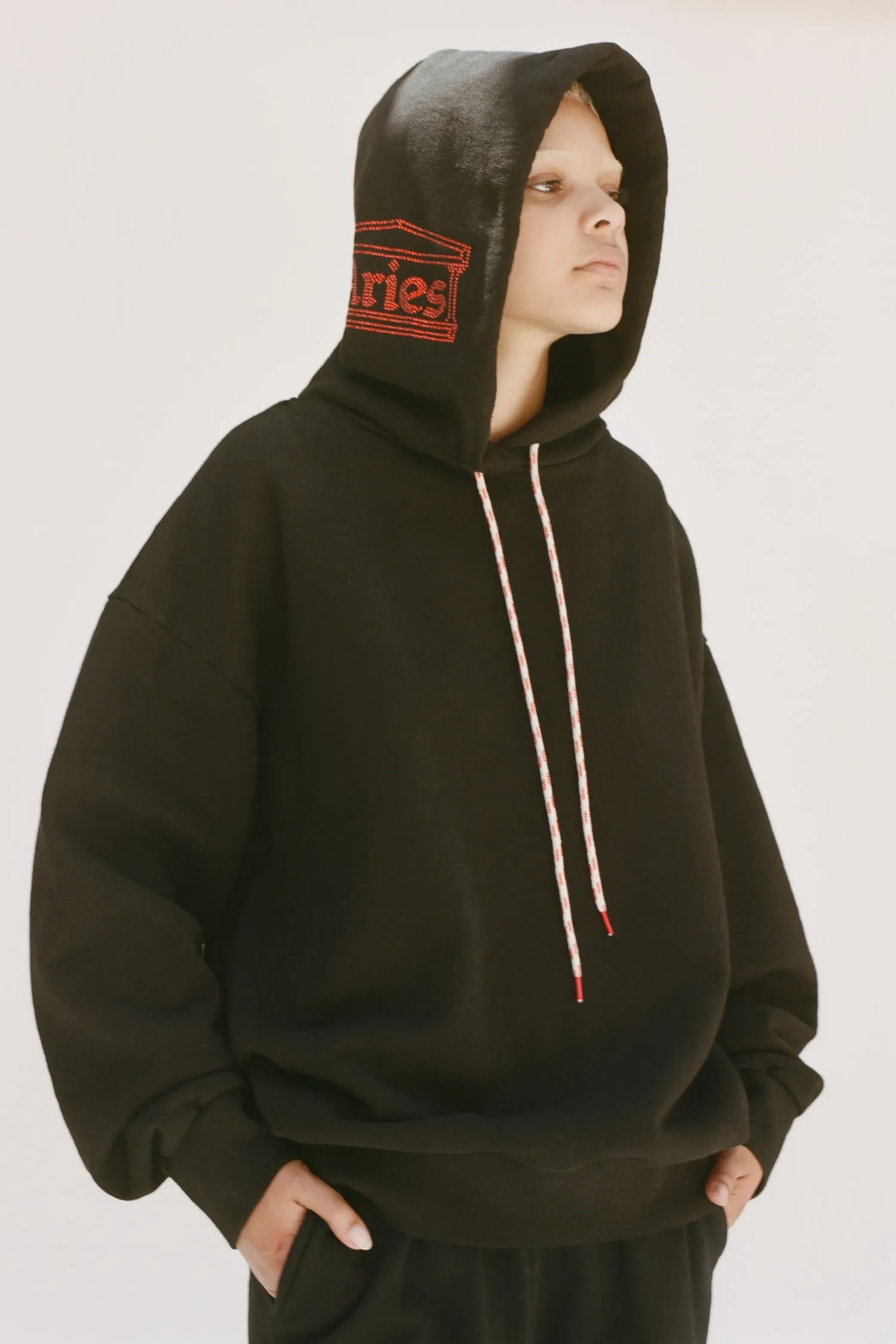 Crystal Temple Hood Premium Hoodie