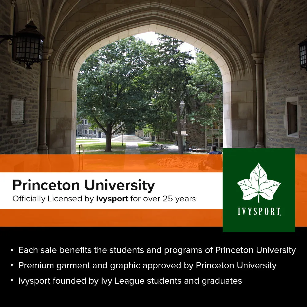 Princeton Essential Hooded Sweatshirt (Heather Grey)